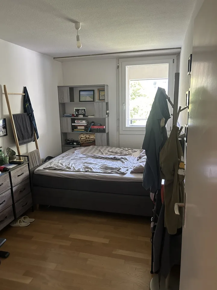 Room in a shared flat