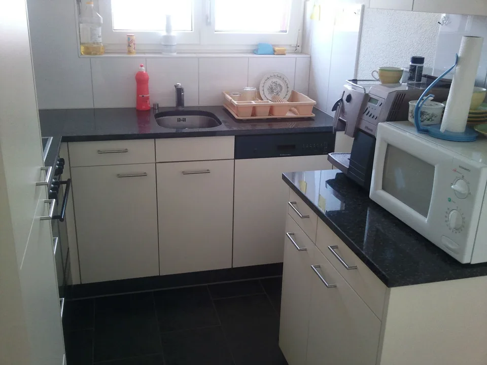 Large non-smoker WG room in Dietikon