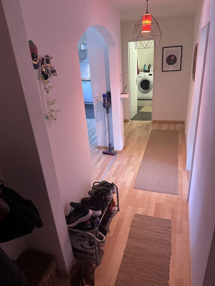 Nice, lux shared flat (2 of us total), recently renovated, room 14m