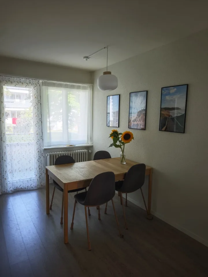 Subaffitto appartamento 3,5 locali