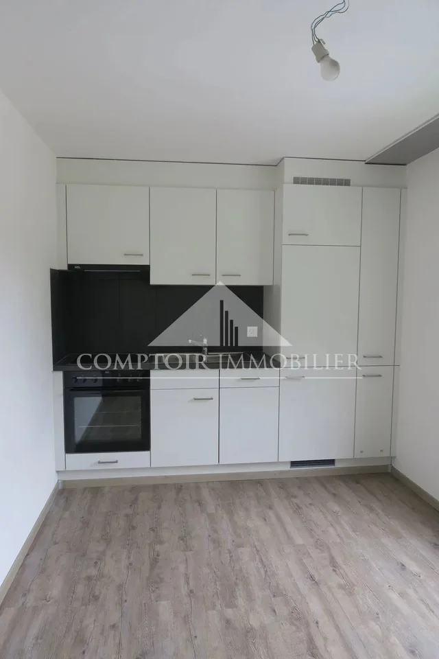Recently renovated studio in Chalais