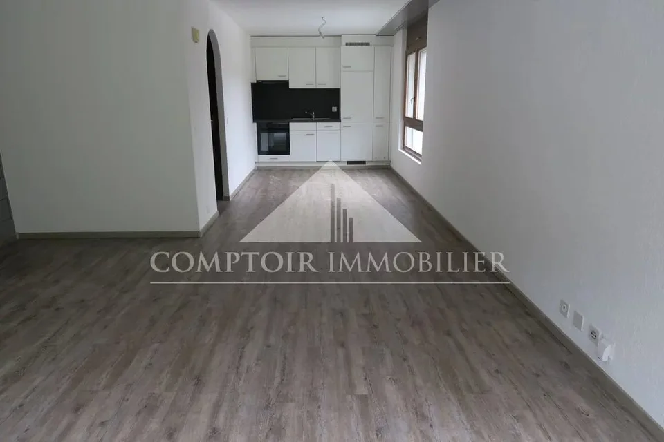 Recently renovated studio in Chalais