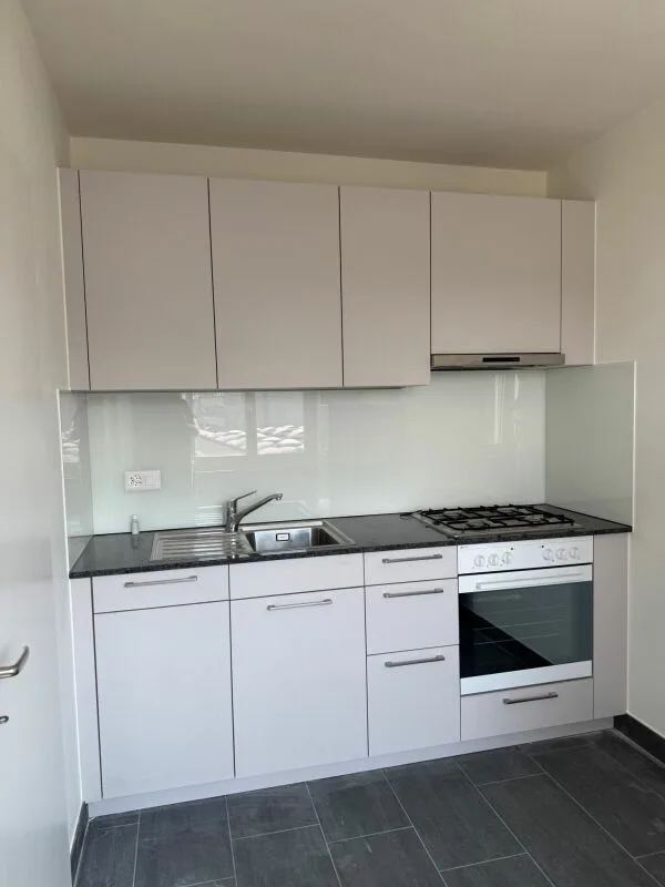 Appartamento di 2 camere al 4° piano / Wiesenstrasse 18