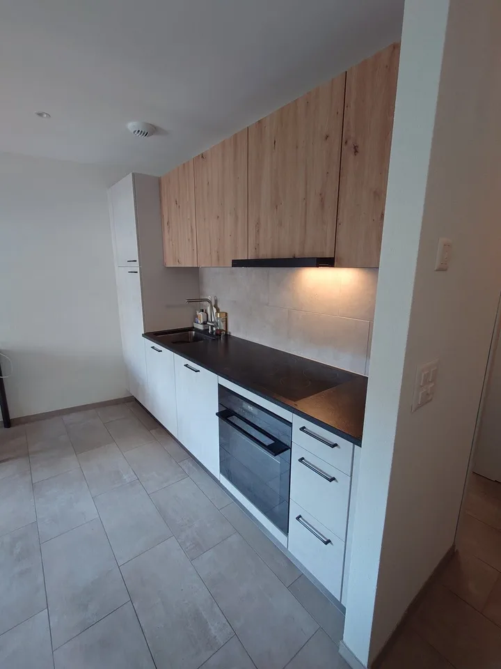 For rent, Furnished apartment, 1023 Crissier, Ref 1002.01.0106.01