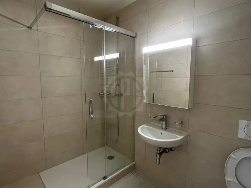 Pleasant apartment - Geneva