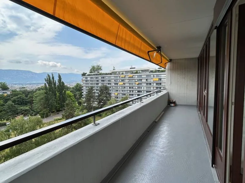 Pleasant apartment - Geneva