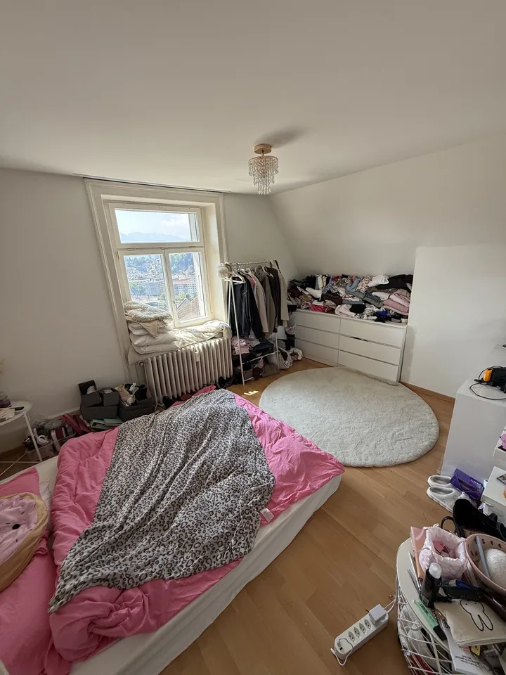 Appartement en mansarde de 3 pièces lumineux avec belle vue