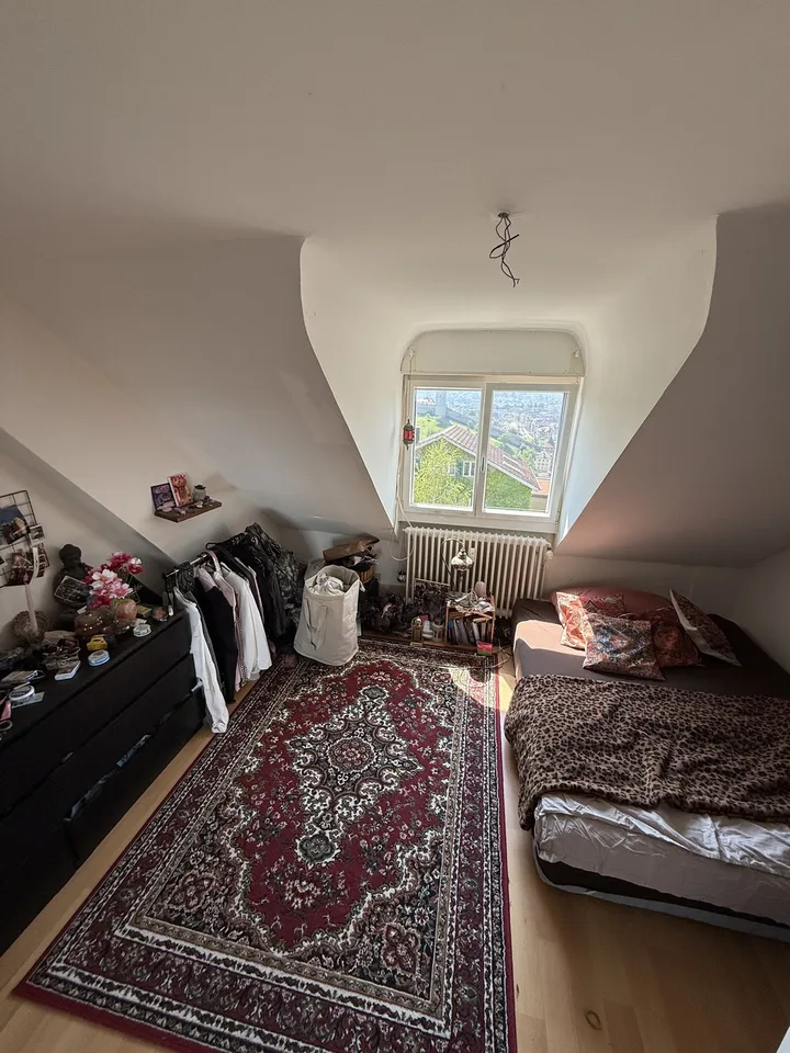 Helle 3 Zimmer Dachwohnung mit schöner Aussicht