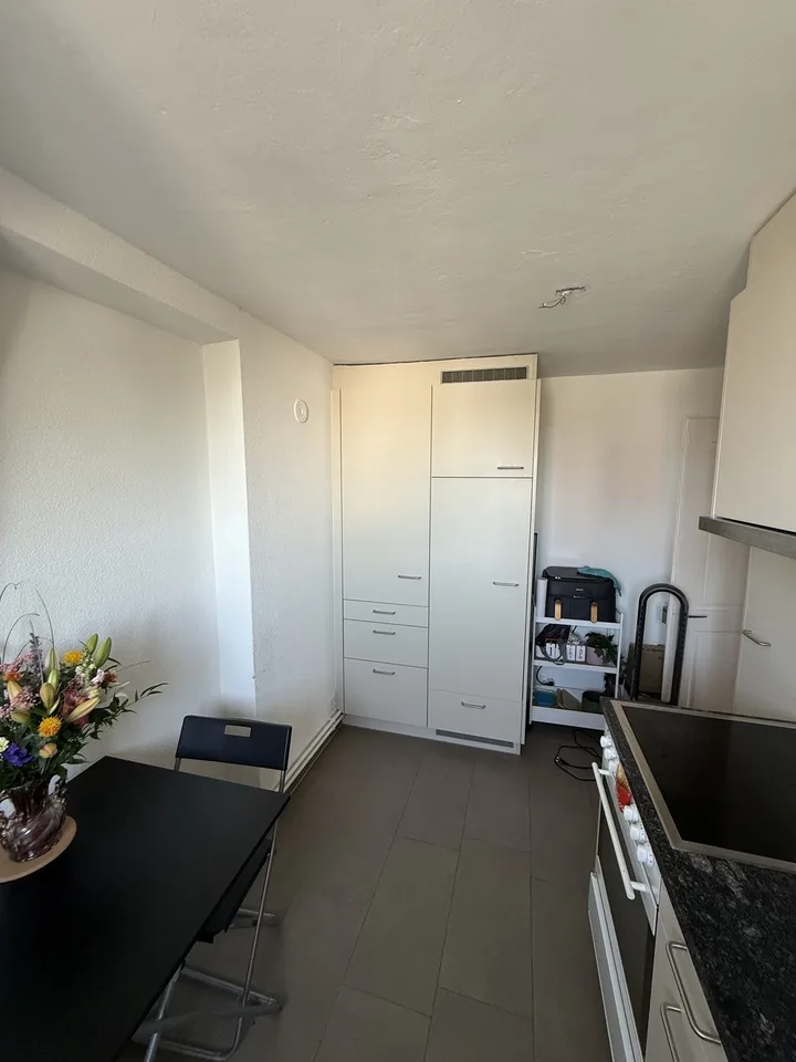 Appartement en mansarde de 3 pièces lumineux avec belle vue