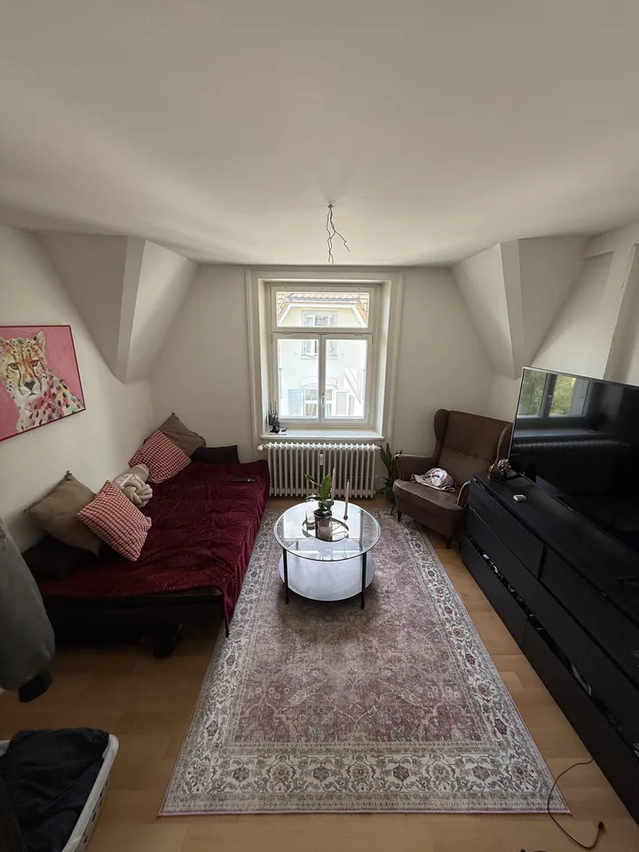 Appartement en mansarde de 3 pièces lumineux avec belle vue