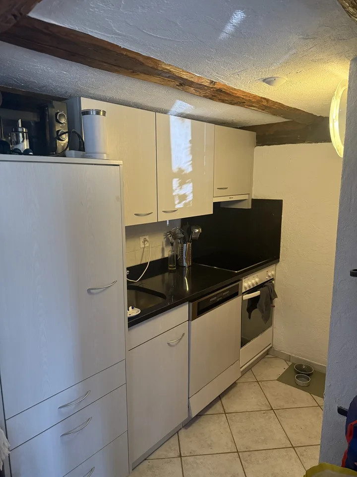 Appartamento mansardato di 2 camere accogliente in un chalet rustico, posizione ideale nella piazza del villaggio di Immensee