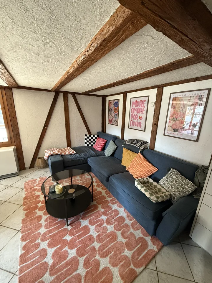 Appartamento mansardato di 2 camere accogliente in un chalet rustico, posizione ideale nella piazza del villaggio di Immensee