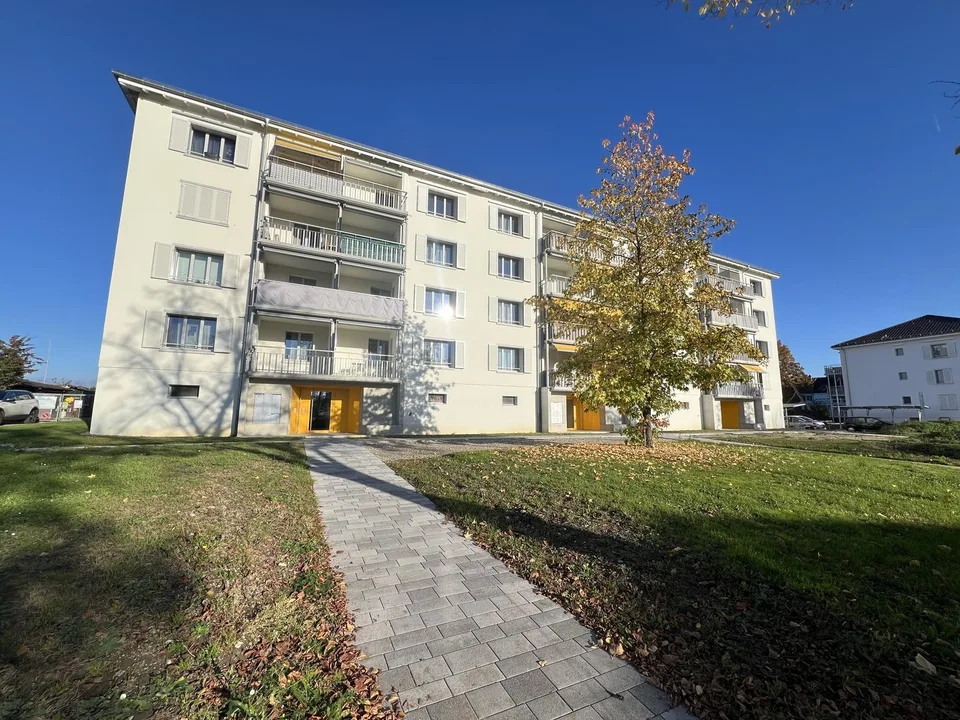 Kinderfreundlich wohnen nähe Rhein im Hirzbrunnenquartier