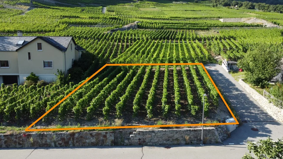 Building land of 532 m² on the slope of Fully