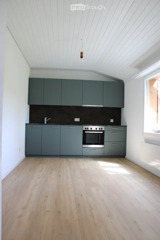 frisch renovierte Wohnung im Grünen