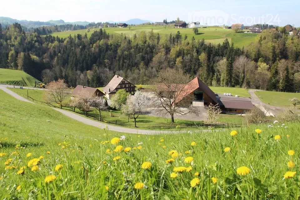 Living in the countryside