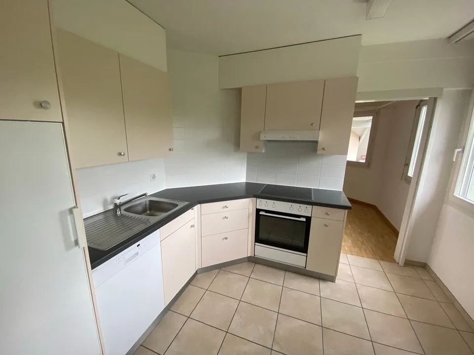 Spacious apartment with hobby room in a green environment