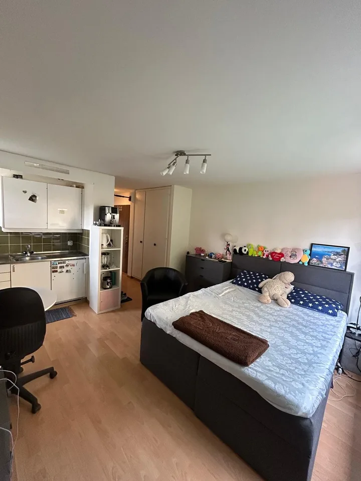 1-Zimmer-Wohnung im Seefeld zu vermieten