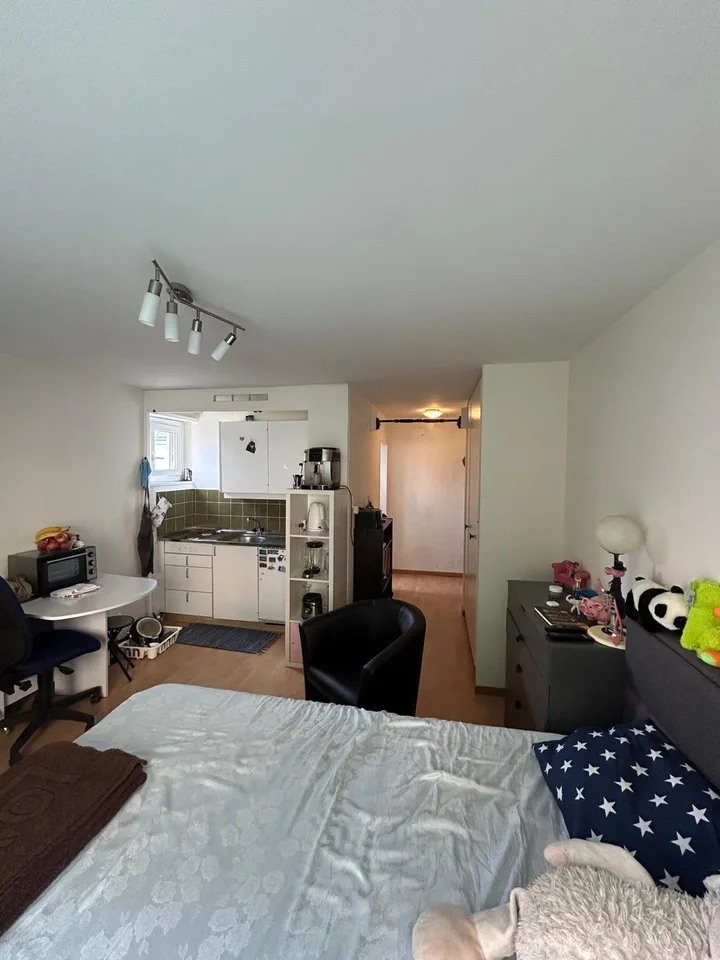 1-room apartment for rent in Seefeld