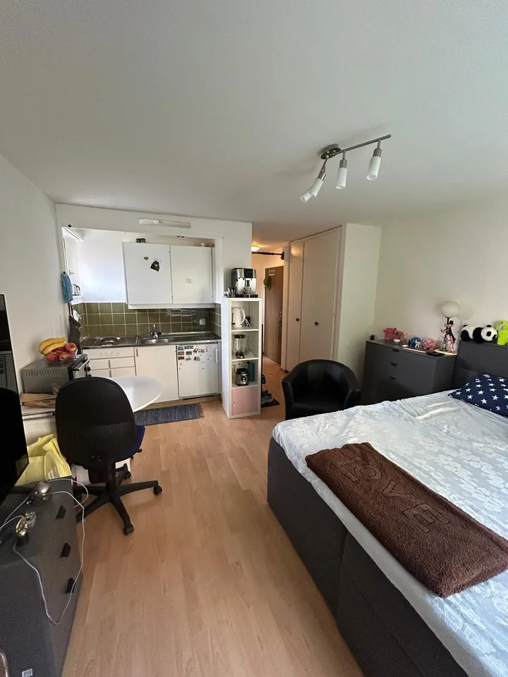 1-room apartment for rent in Seefeld