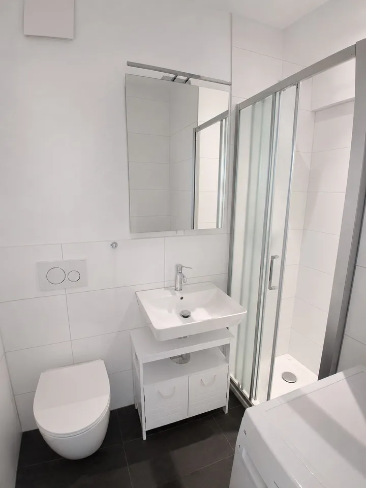 Appartement 1 pièce avec vue sur le lac à Richterswil - Recherche de sous-locataire à partir du 01.09.2026