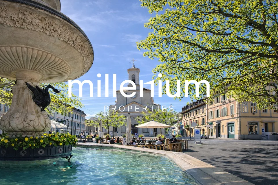 Exceptional Renovated 6-Room Duplex Penthouse in the Heart of Carouge