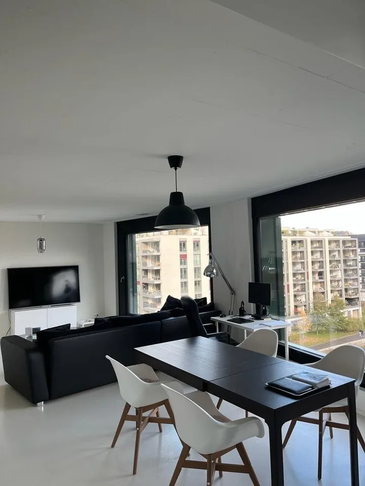Modern 2.5-Bedroom Apartment with Stunning Views Available for December and January in Zurich!
