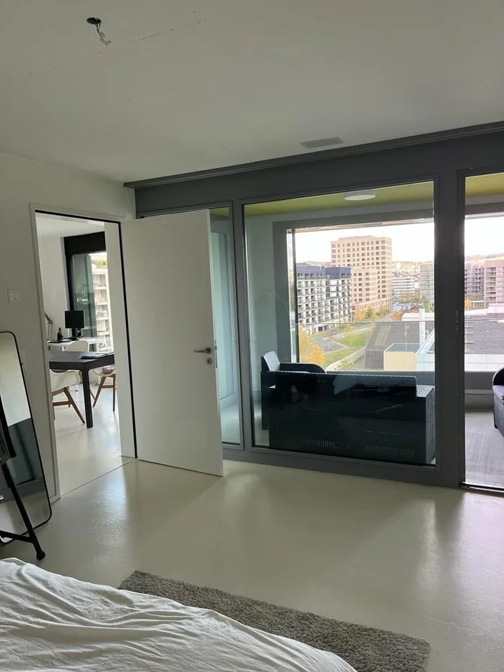 Appartamento moderno di 2,5 camere con vista mozzafiato disponibile a dicembre e gennaio a Zurigo!