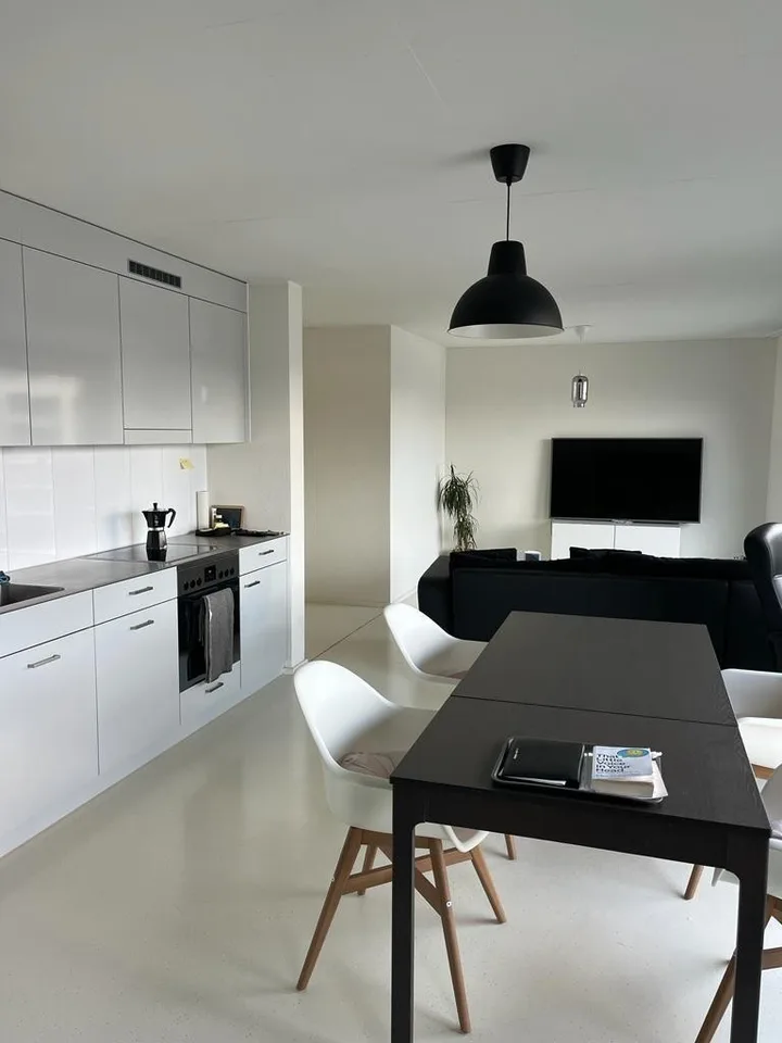Appartamento moderno di 2,5 camere con vista mozzafiato disponibile a dicembre e gennaio a Zurigo!