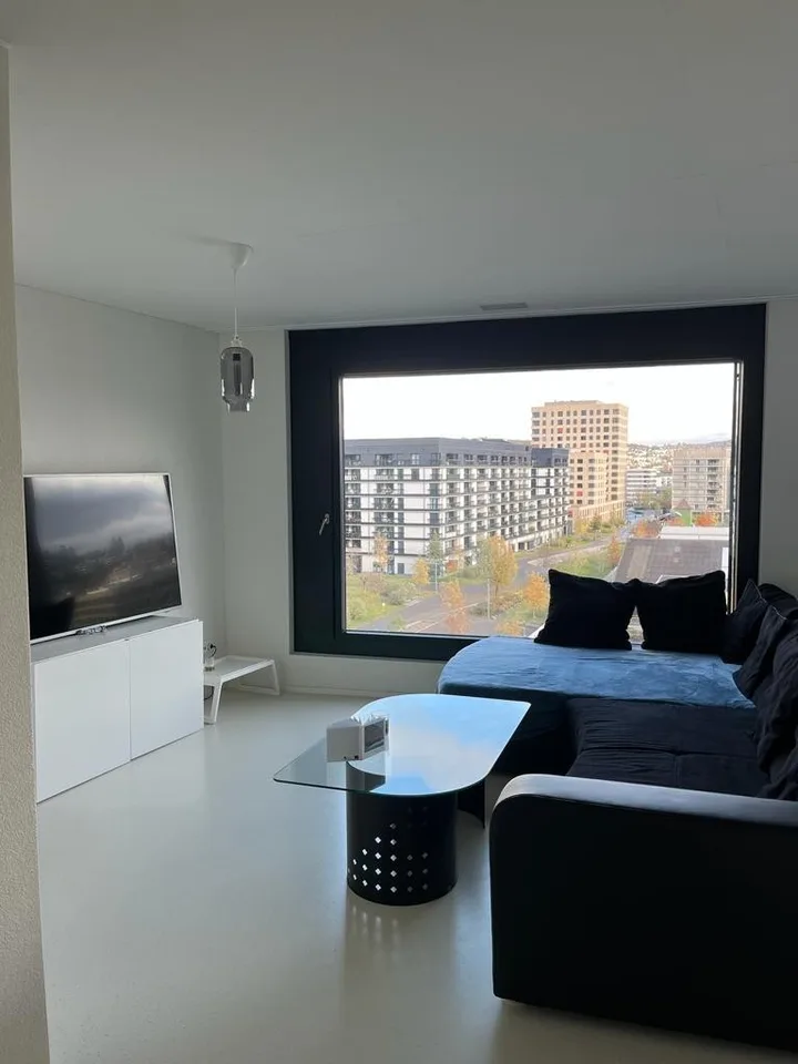 Appartamento moderno di 2,5 camere con vista mozzafiato disponibile a dicembre e gennaio a Zurigo!