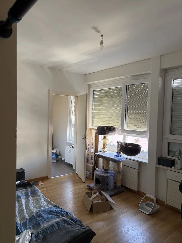 Studio 1 Pièce Genève