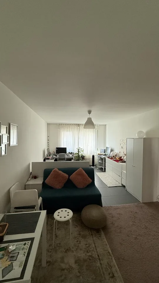 Apartment to Rent in Geneva