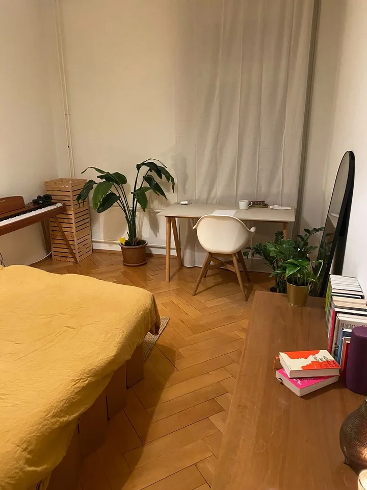 Room in cozy 3-person shared apartment
