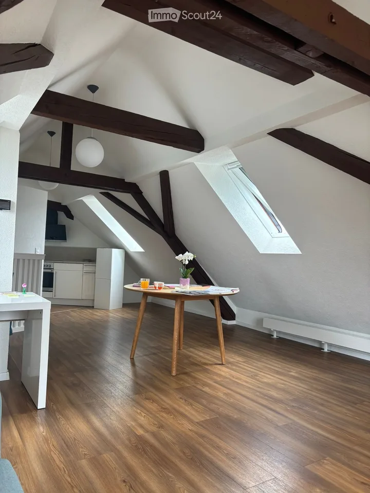 Bright and charming furnished 2.5-room attic apartment with beautiful views towards the Uetliberg