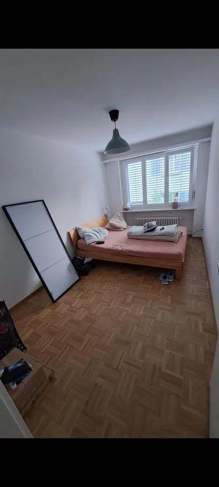3 Bedroom Apartment, 8404 Winterthur