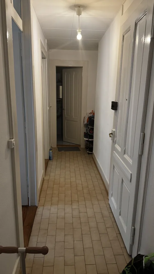 Transfer of Lease Beautiful apartment near to Parc the Milan, Lausanne(solvable file only)