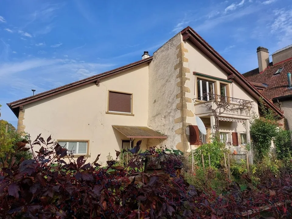 Maison villageoise avec jardin offrant deux appartements et un espace commercial