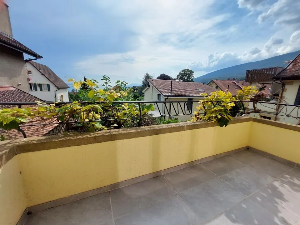 Maison villageoise avec jardin offrant deux appartements et un espace commercial