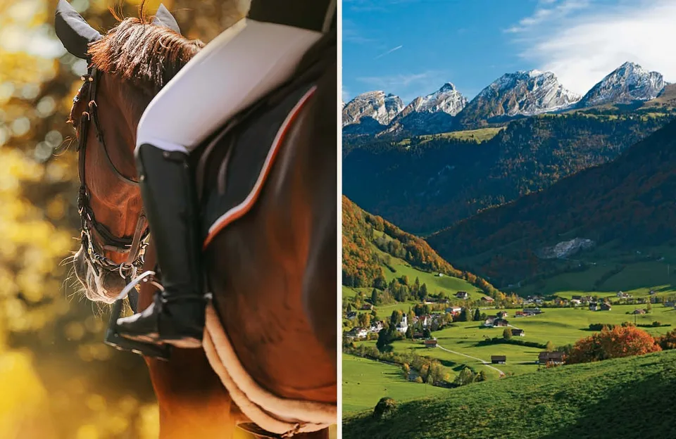Terrain d'aménagement attractif avec étude de projet – photo 9 sur 11