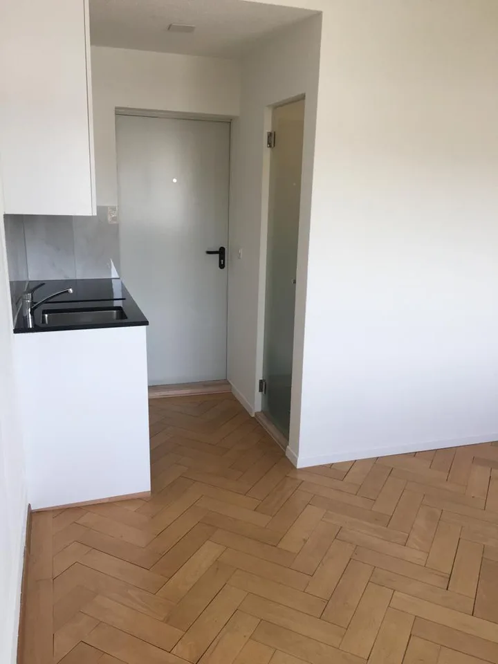 Schönes renoviertes Studio