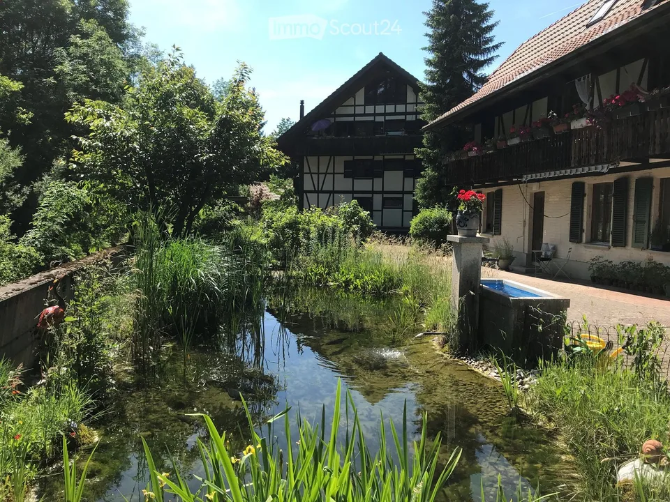 Idyllische 3.5-Zimmer-Wohnung  – sofort verfügbar!