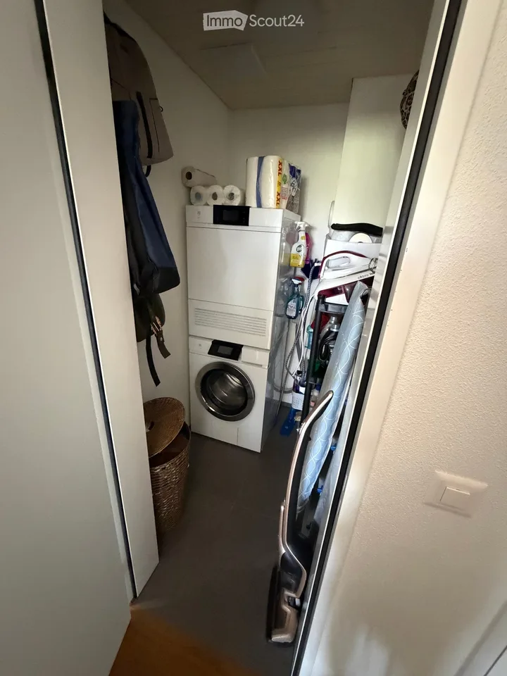 Modern 2.5-room attic apartment with lake view - Aesch LU