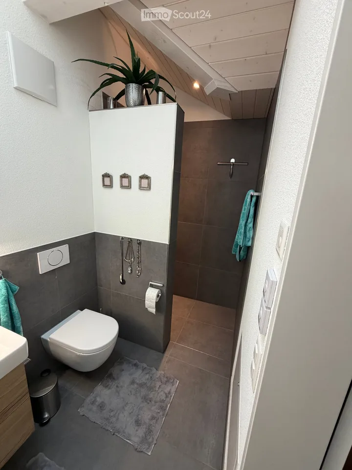 Modern 2.5-room attic apartment with lake view - Aesch LU
