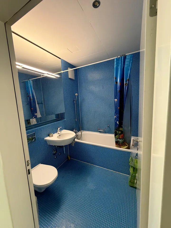 Zimmer in freundlicher WG | 5 Min von Oerlikon Station