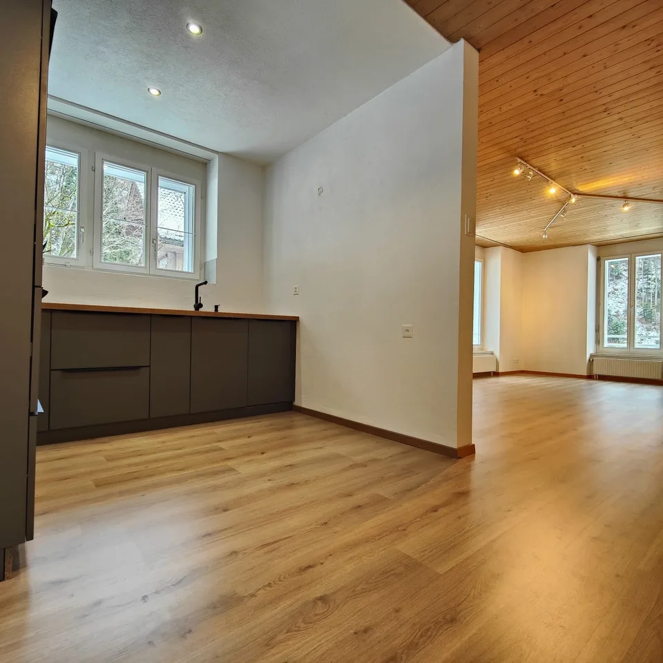 Appartement fraîchement rénové dans un endroit calme avec vue sur la montagne