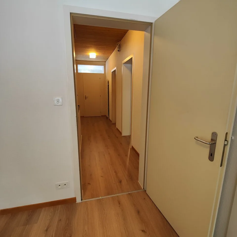 Appartement fraîchement rénové dans un endroit calme avec vue sur la montagne