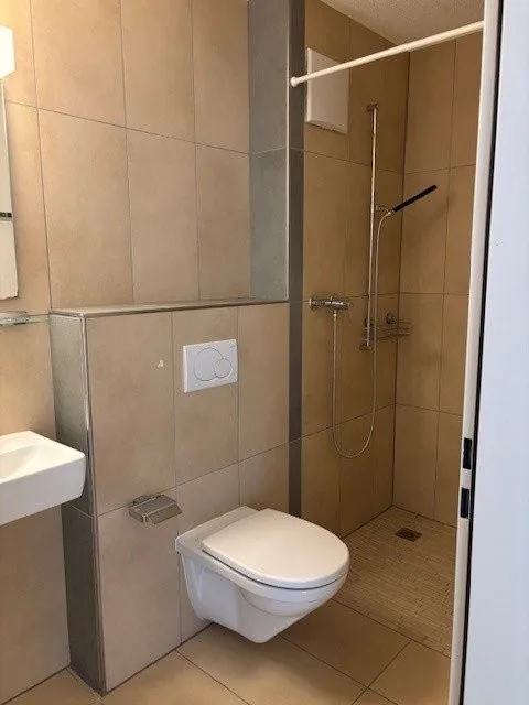 Superbe appartement 4.5 pièces à louer