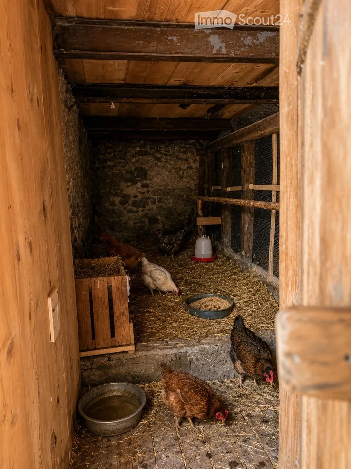 Horse paradise with building land - living in harmony