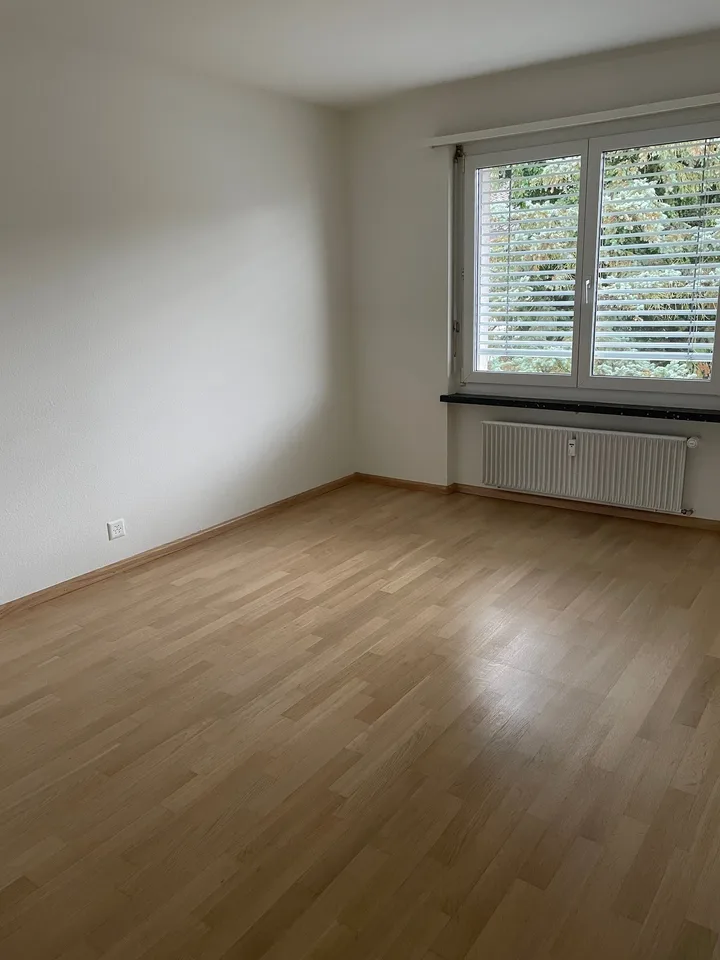 5-Zimmerwohnung in Reinach