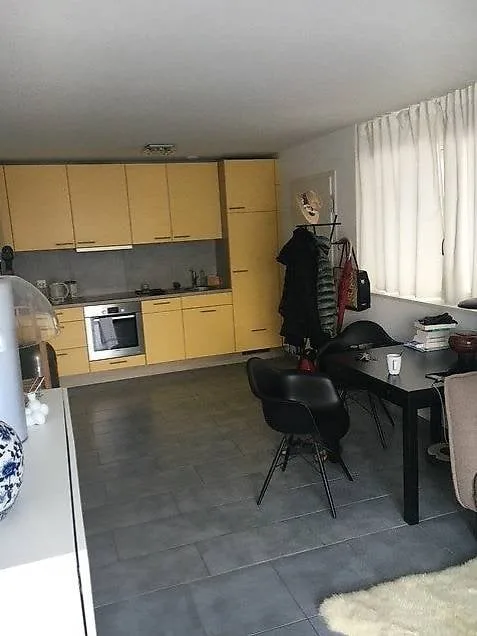 2,5 locali appartamento (climatizzato Minergie) calmo, terrazza e giardino con vista
